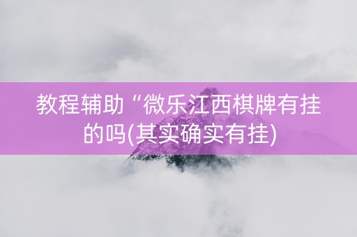 教程辅助“微乐江西棋牌有挂的吗(其实确实有挂)