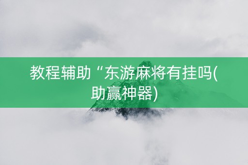 教程辅助“东游麻将有挂吗(助赢神器)