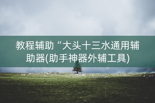 教程辅助“大头十三水通用辅助器(助手神器外辅工具)