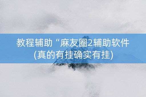教程辅助“麻友圈2辅助软件(真的有挂确实有挂)