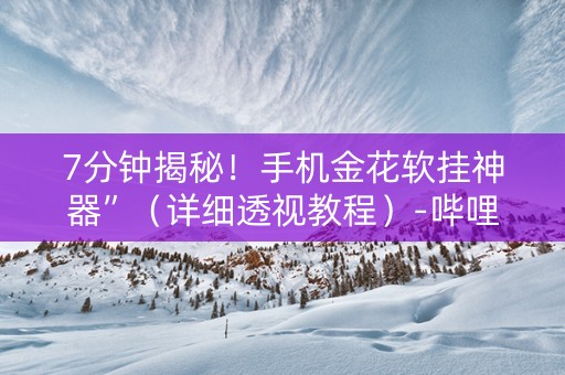 7分钟揭秘！手机金花软挂神器”（详细透视教程）-哔哩哔哩