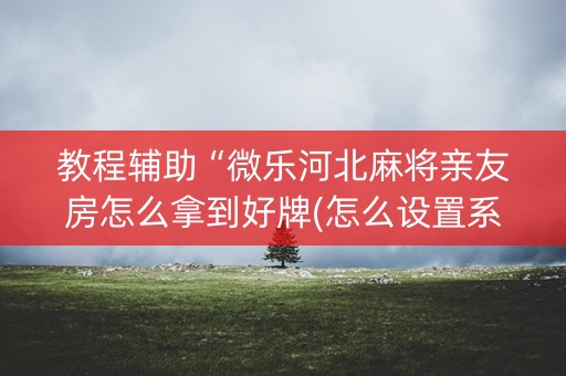 教程辅助“微乐河北麻将亲友房怎么拿到好牌(怎么设置系统给你好牌)