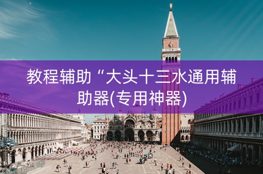 教程辅助“大头十三水通用辅助器(专用神器)