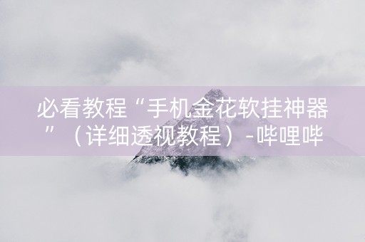 必看教程“手机金花软挂神器”（详细透视教程）-哔哩哔哩