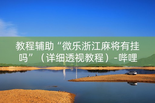教程辅助“微乐浙江麻将有挂吗”（详细透视教程）-哔哩哔哩