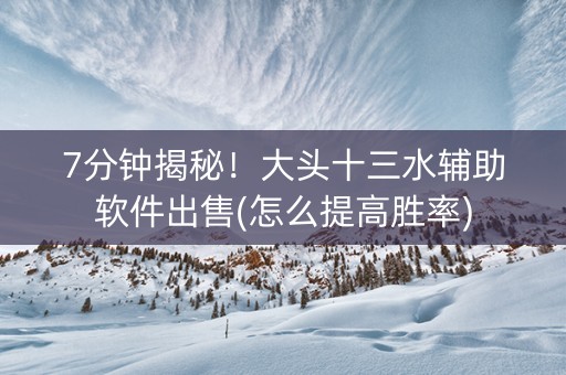 7分钟揭秘！大头十三水辅助软件出售(怎么提高胜率)