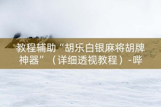 教程辅助“胡乐白银麻将胡牌神器”（详细透视教程）-哔哩哔哩