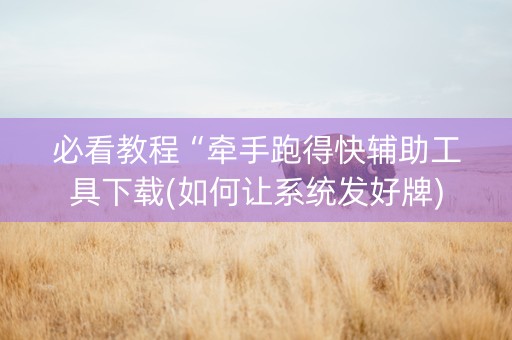 必看教程“牵手跑得快辅助工具下载(如何让系统发好牌)