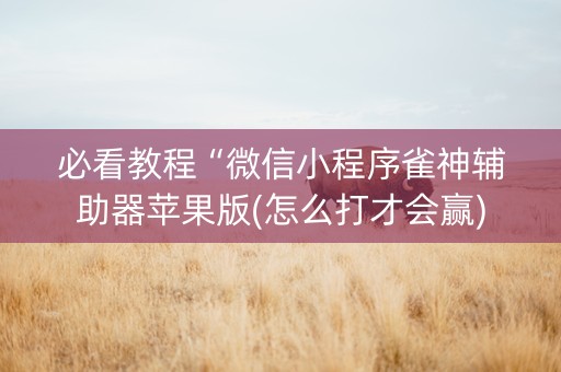 必看教程“微信小程序雀神辅助器苹果版(怎么打才会赢)