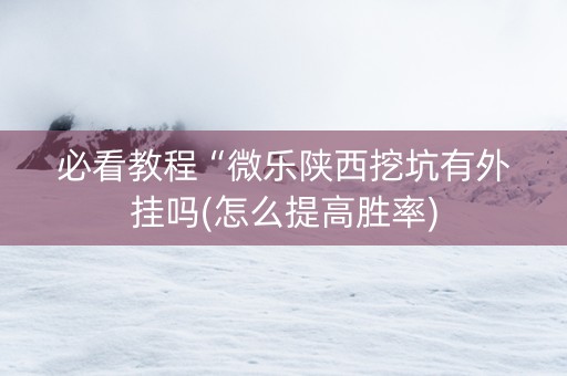 必看教程“微乐陕西挖坑有外挂吗(怎么提高胜率)