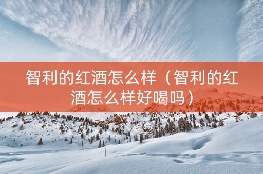 智利的红酒怎么样（智利的红酒怎么样好喝吗）