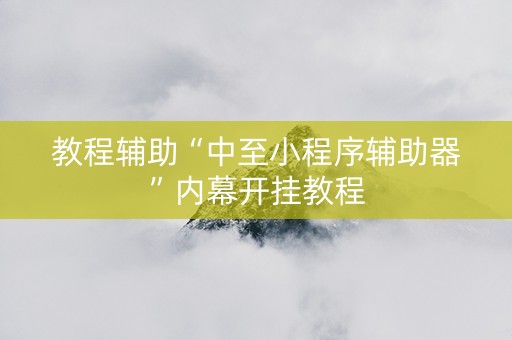 教程辅助“中至小程序辅助器”内幕开挂教程