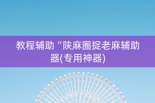 教程辅助“陕麻圈捉老麻辅助器(专用神器)