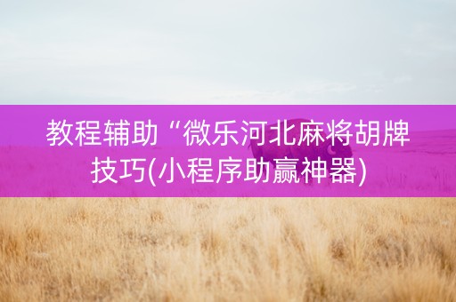 教程辅助“微乐河北麻将胡牌技巧(小程序助赢神器)