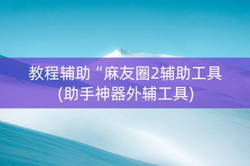 教程辅助“麻友圈2辅助工具(助手神器外辅工具)