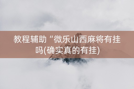 教程辅助“微乐山西麻将有挂吗(确实真的有挂)
