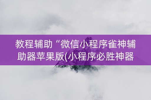 教程辅助“微信小程序雀神辅助器苹果版(小程序必胜神器)