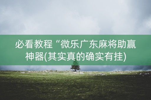 必看教程“微乐广东麻将助赢神器(其实真的确实有挂)