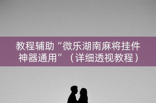 教程辅助“微乐湖南麻将挂件神器通用”（详细透视教程）-哔哩哔哩