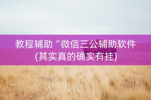 教程辅助“微信三公辅助软件(其实真的确实有挂)