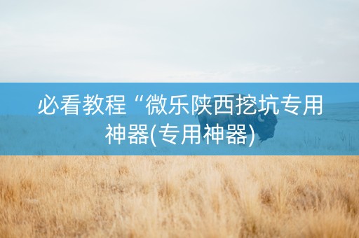 必看教程“微乐陕西挖坑专用神器(专用神器)