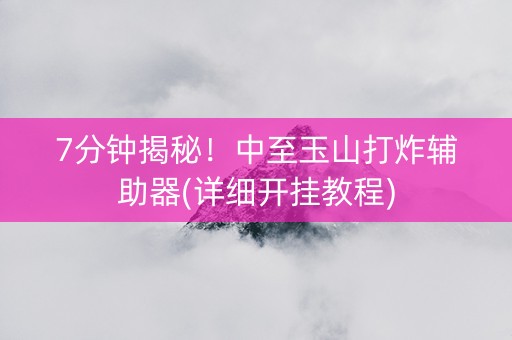 7分钟揭秘！中至玉山打炸辅助器(详细开挂教程)