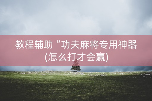 教程辅助“功夫麻将专用神器(怎么打才会赢)