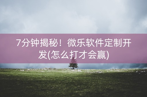 7分钟揭秘！微乐软件定制开发(怎么打才会赢)