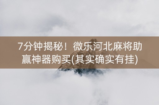 7分钟揭秘！微乐河北麻将助赢神器购买(其实确实有挂)