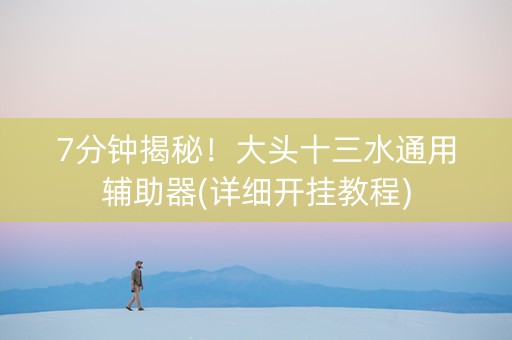 7分钟揭秘！大头十三水通用辅助器(详细开挂教程)