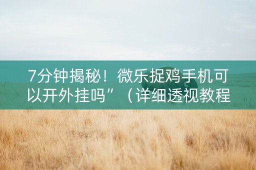 7分钟揭秘！微乐捉鸡手机可以开外挂吗”（详细透视教程）-哔哩哔哩