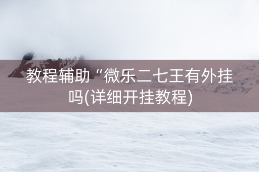 教程辅助“微乐二七王有外挂吗(详细开挂教程)