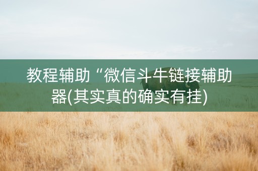 教程辅助“微信斗牛链接辅助器(其实真的确实有挂)