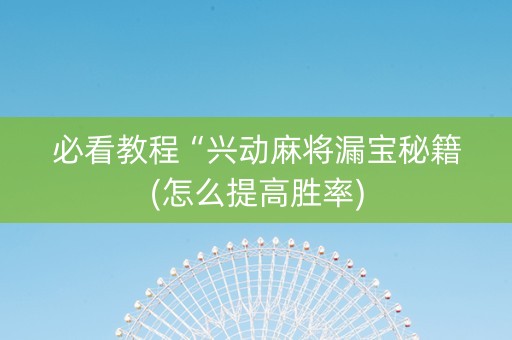 必看教程“兴动麻将漏宝秘籍(怎么提高胜率)