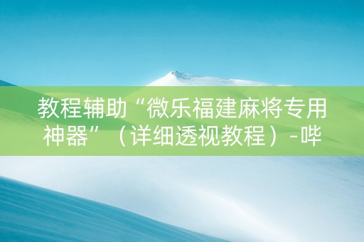 教程辅助“微乐福建麻将专用神器”（详细透视教程）-哔哩哔哩