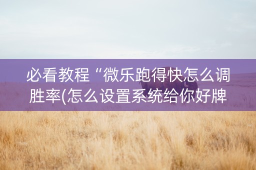 必看教程“微乐跑得快怎么调胜率(怎么设置系统给你好牌)