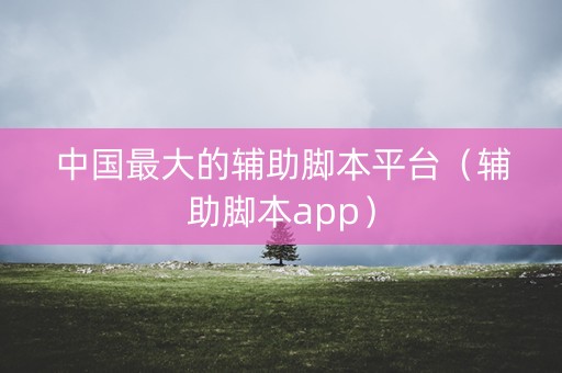 中国最大的辅助脚本平台（辅助脚本app）
