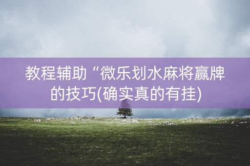 教程辅助“微乐划水麻将赢牌的技巧(确实真的有挂)