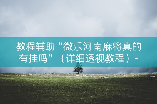 教程辅助“微乐河南麻将真的有挂吗”（详细透视教程）-哔哩哔哩