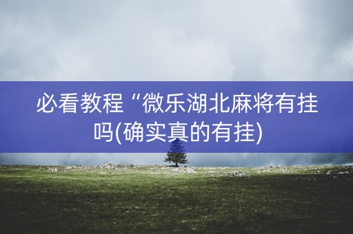必看教程“微乐湖北麻将有挂吗(确实真的有挂)