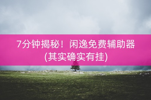 7分钟揭秘！闲逸免费辅助器(其实确实有挂)