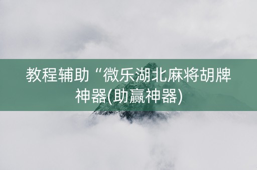 教程辅助“微乐湖北麻将胡牌神器(助赢神器)
