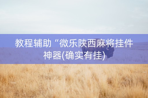 教程辅助“微乐陕西麻将挂件神器(确实有挂)