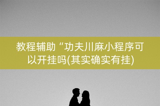 教程辅助“功夫川麻小程序可以开挂吗(其实确实有挂)