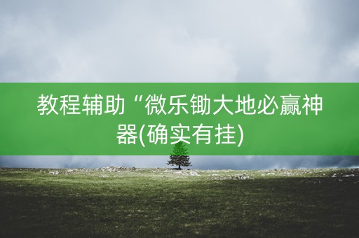 教程辅助“微乐锄大地必赢神器(确实有挂)