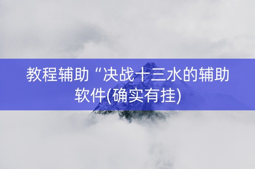 教程辅助“决战十三水的辅助软件(确实有挂)