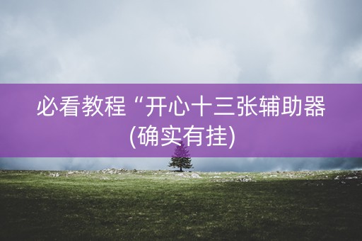 必看教程“开心十三张辅助器(确实有挂)
