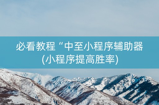 必看教程“中至小程序辅助器(小程序提高胜率)