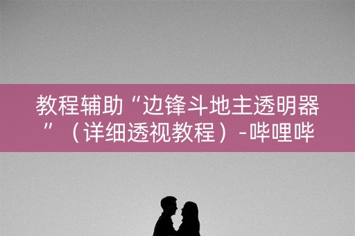 教程辅助“边锋斗地主透明器”（详细透视教程）-哔哩哔哩