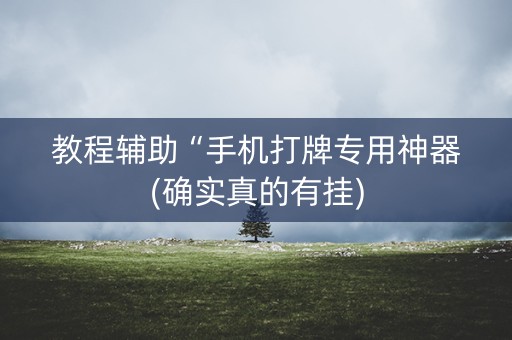 教程辅助“手机打牌专用神器(确实真的有挂)